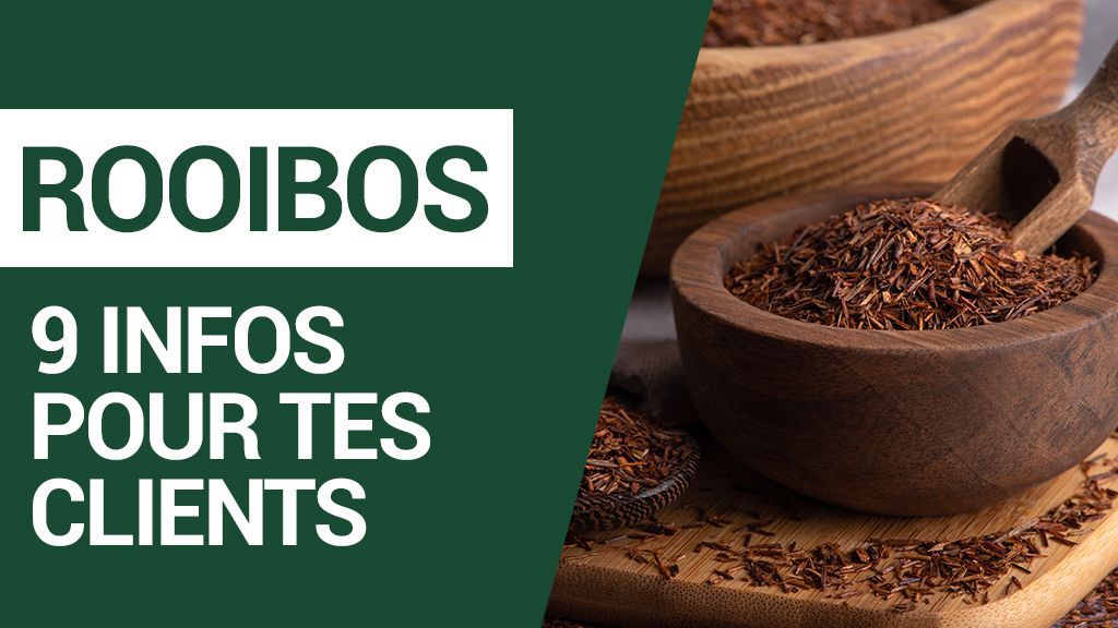 Alles über Rooibos (für Teeprofis)