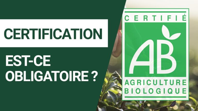 Bio-Tee in Frankreich verkaufen: Brauchst du eine Bio-Zertifizierung?