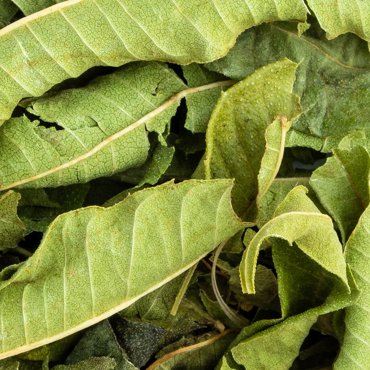 Bio Verbene ganze Blätter lose – Made in Thé, Nahaufnahme