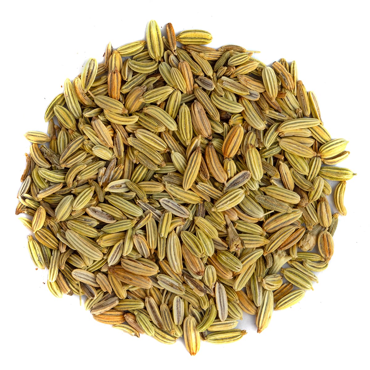 Bio Fenchel lose – Made in Thé, Draufsicht