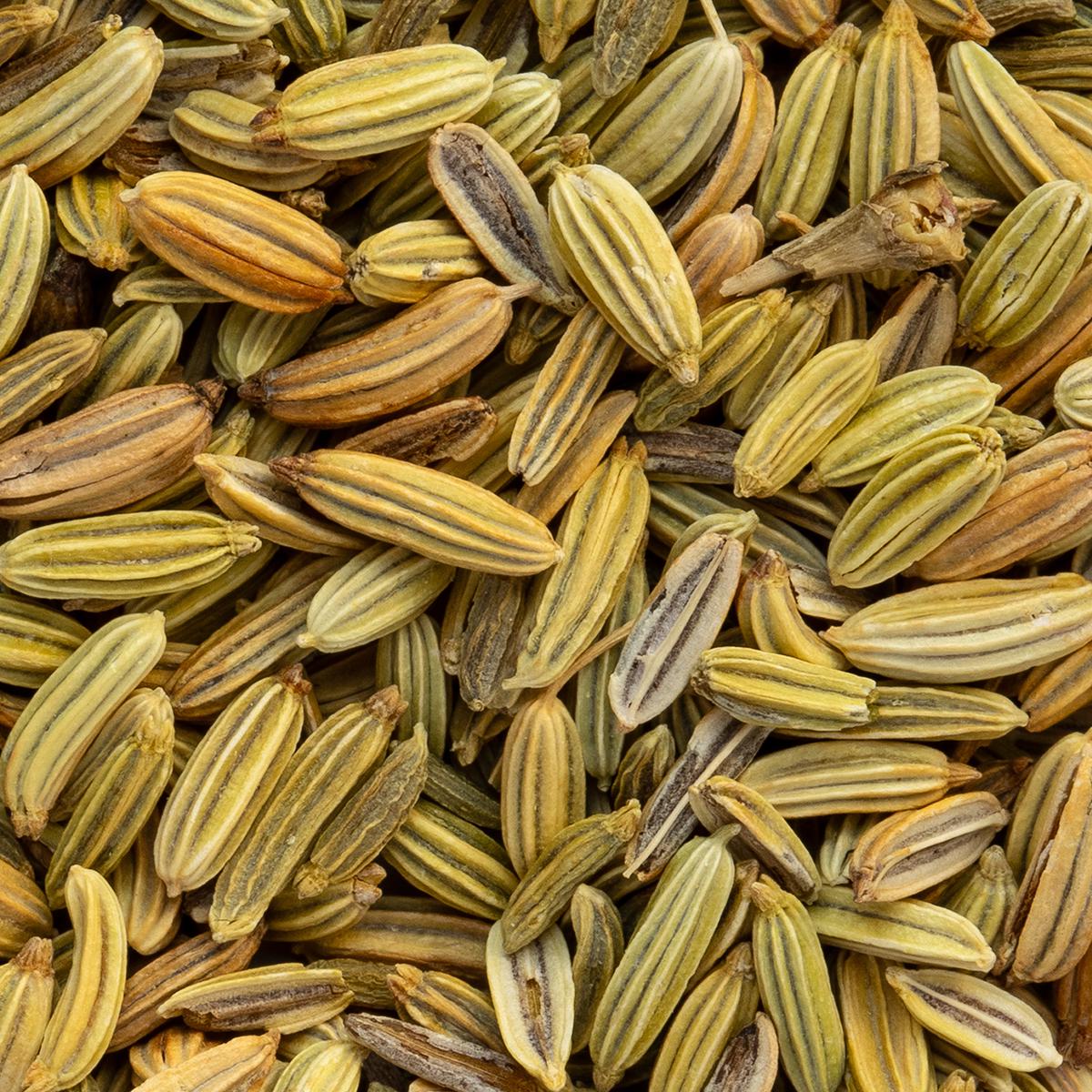 Bio Fenchel lose – Made in Thé, Nahaufnahme