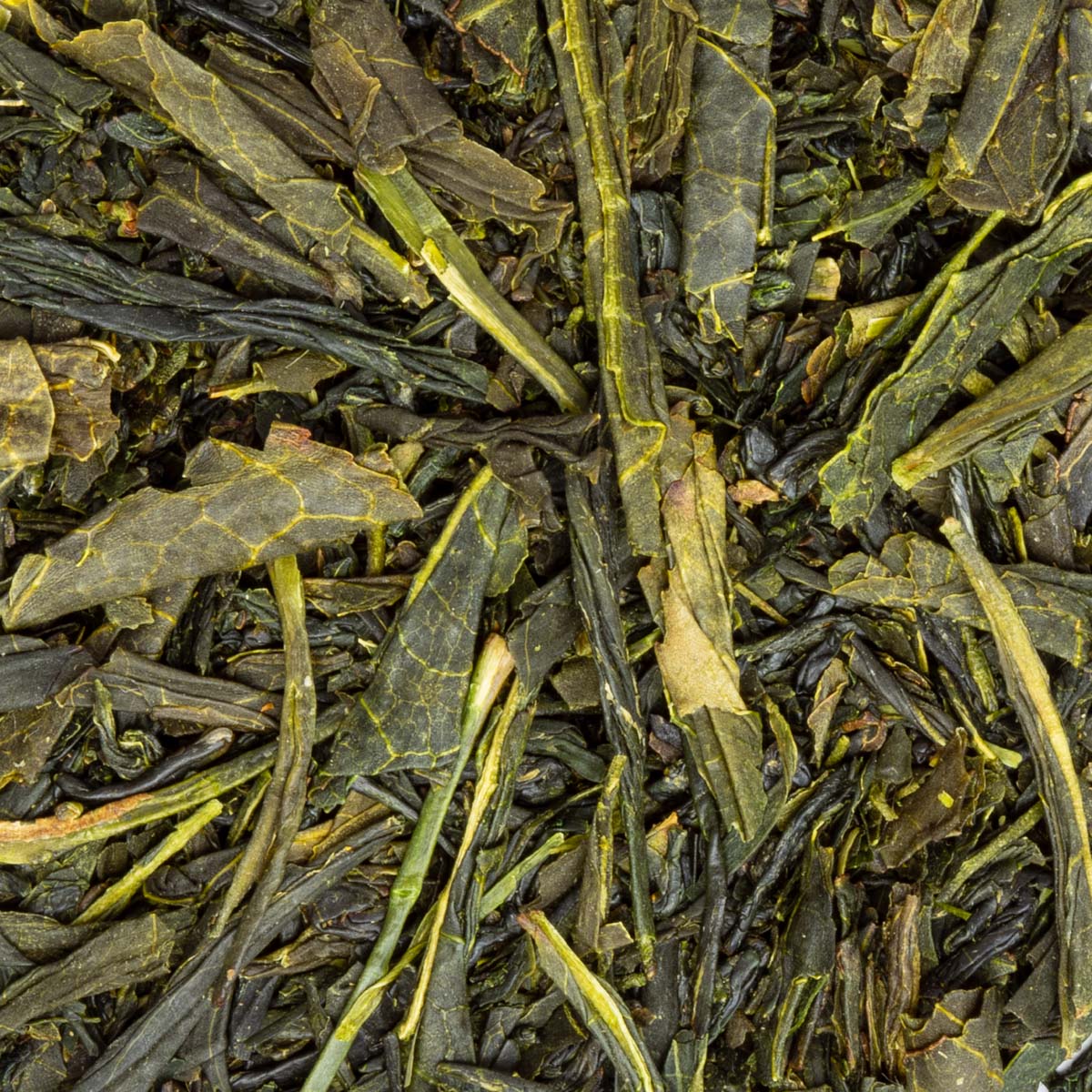 Japanischer Sencha Grüntee lose – Made in Thé, Nahaufnahme