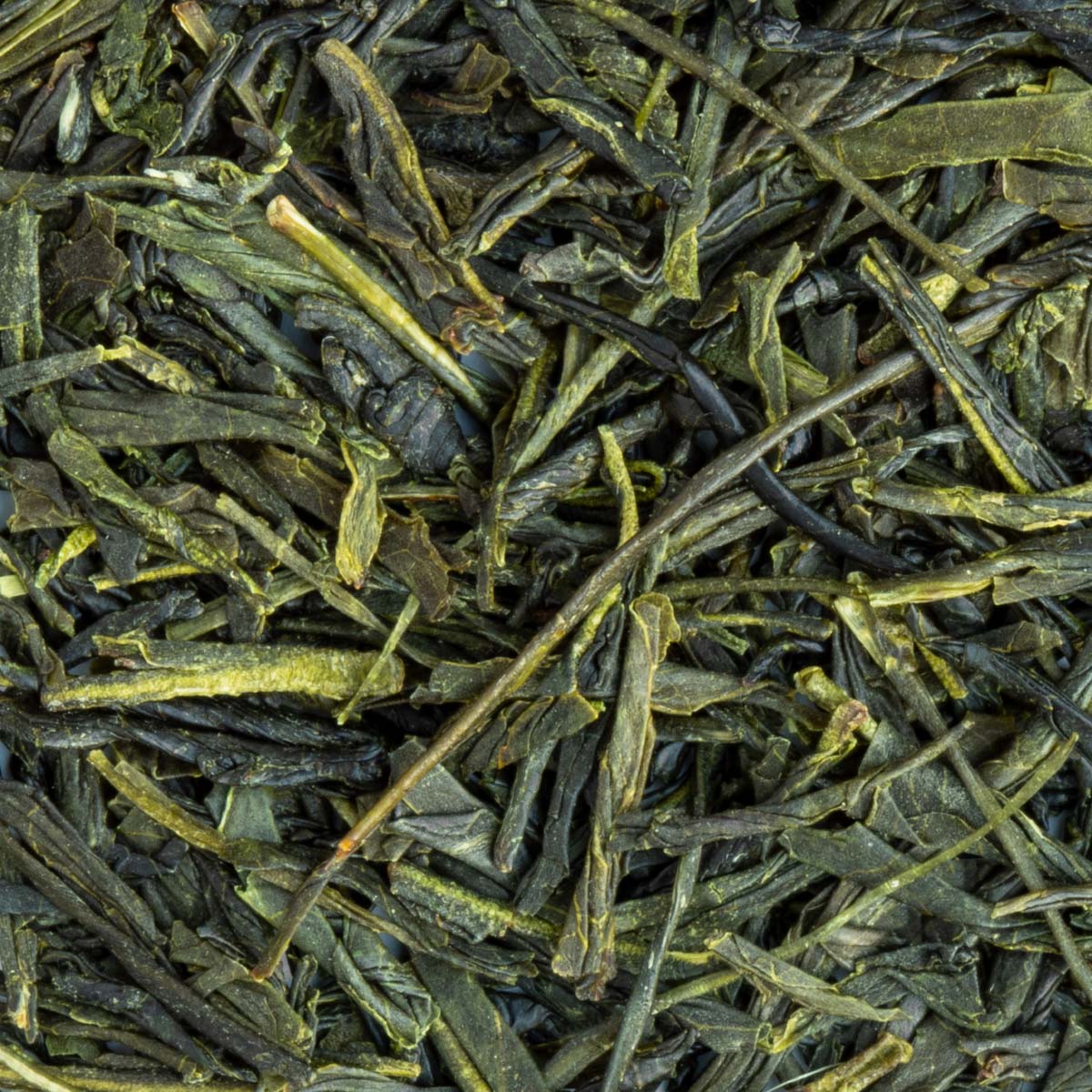 Bio Japan Premium Sencha Konomi Grüntee – Made in Thé, Nahaufnahme