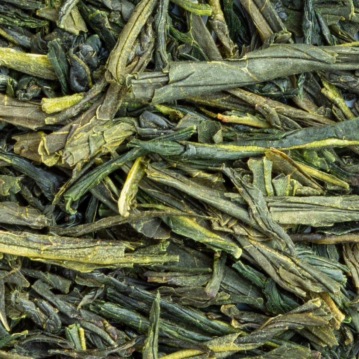 Bio Sencha Mizuki Grüntee – Made in Thé, Nahaufnahme
