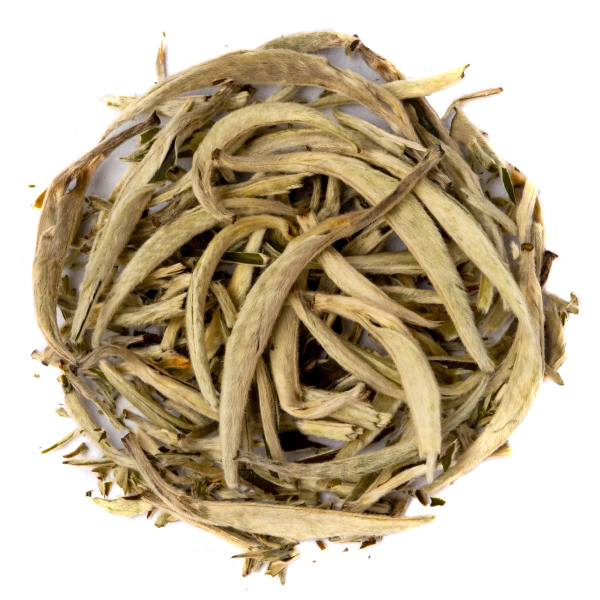 Bio Weißer Tee Yin Zhen Silverneedle – Made in Thé, Draufsicht