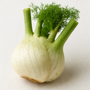 Fenchel