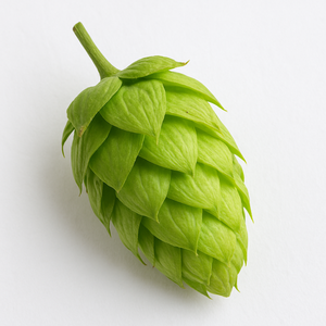 Hopfenblüte