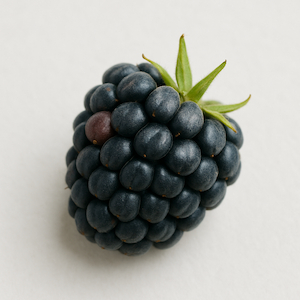Brombeere