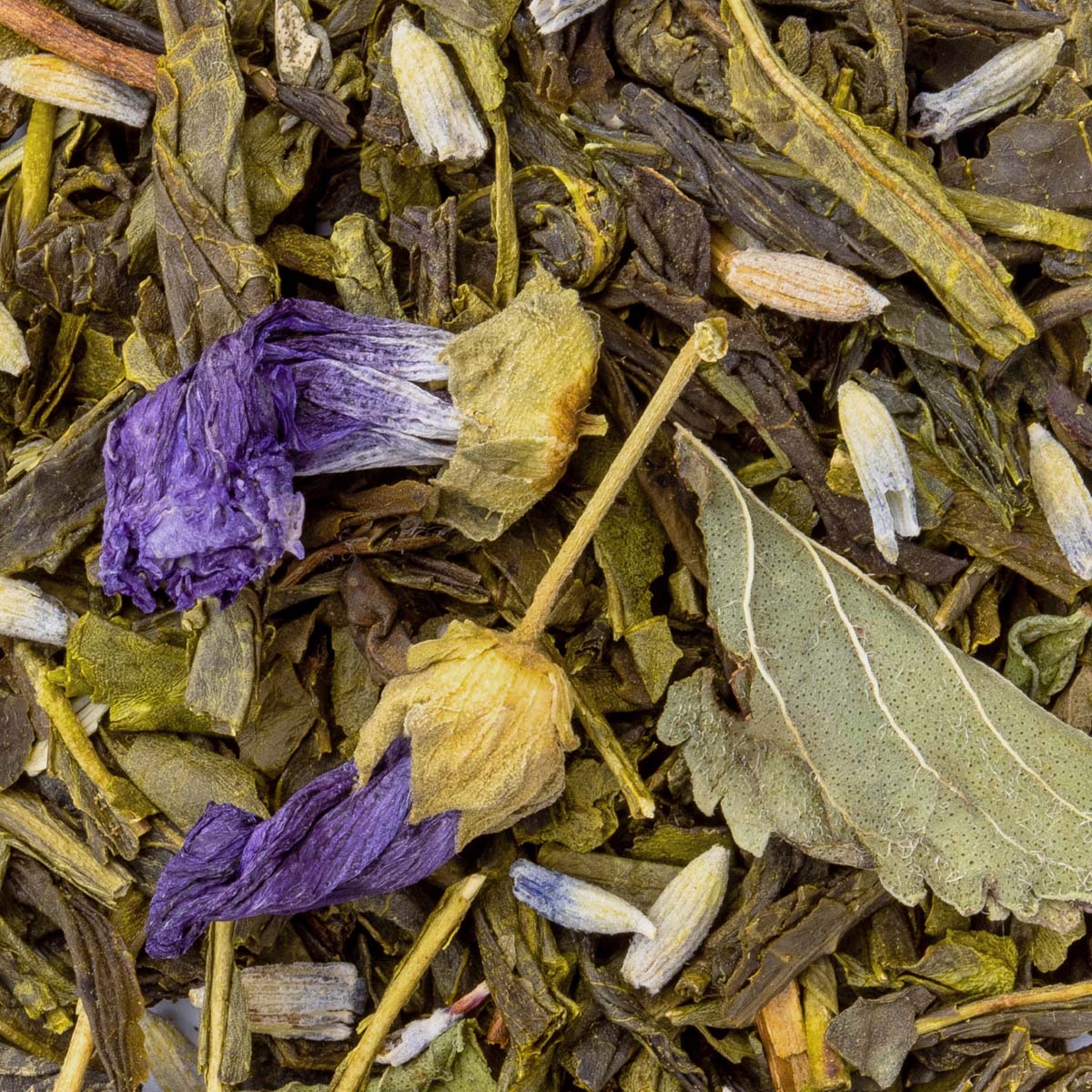 Bio Grüntee Jardin de Lavande, Geschmack Lavendel und Minze – Made in Thé, Nahaufnahme