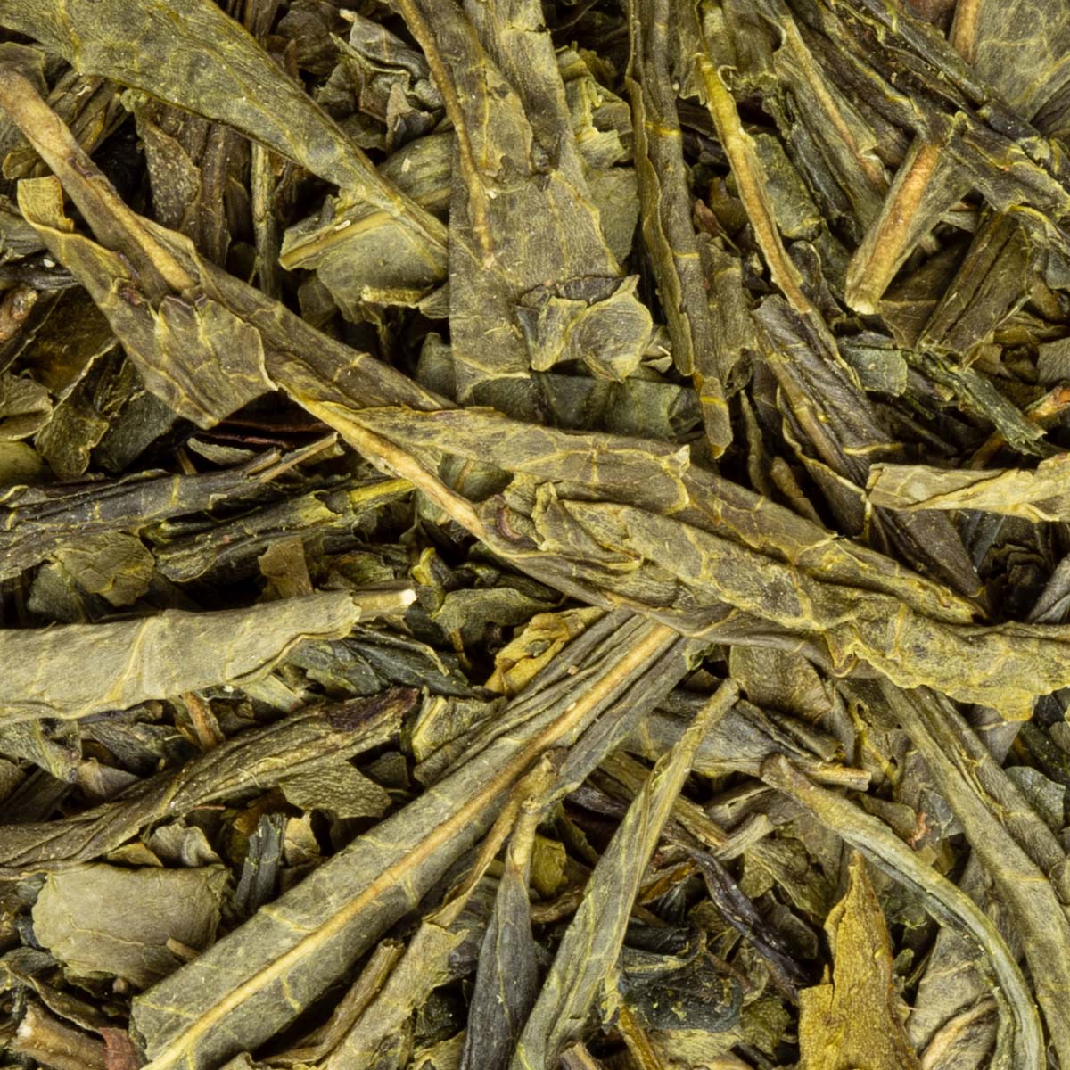 Bancha Grüntee aus Japan lose – Made in Thé, Nahaufnahme