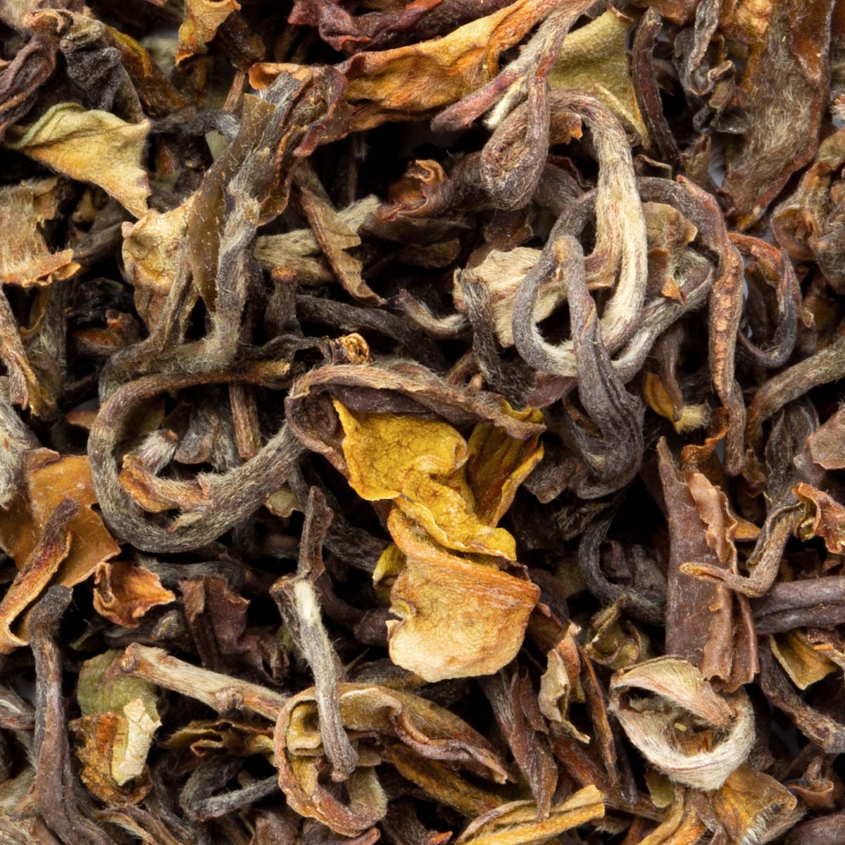 Bio Oolong Nepal 1st Flush Jun Chiyabari (erste Ernte) – Made in Thé, Nahaufnahme