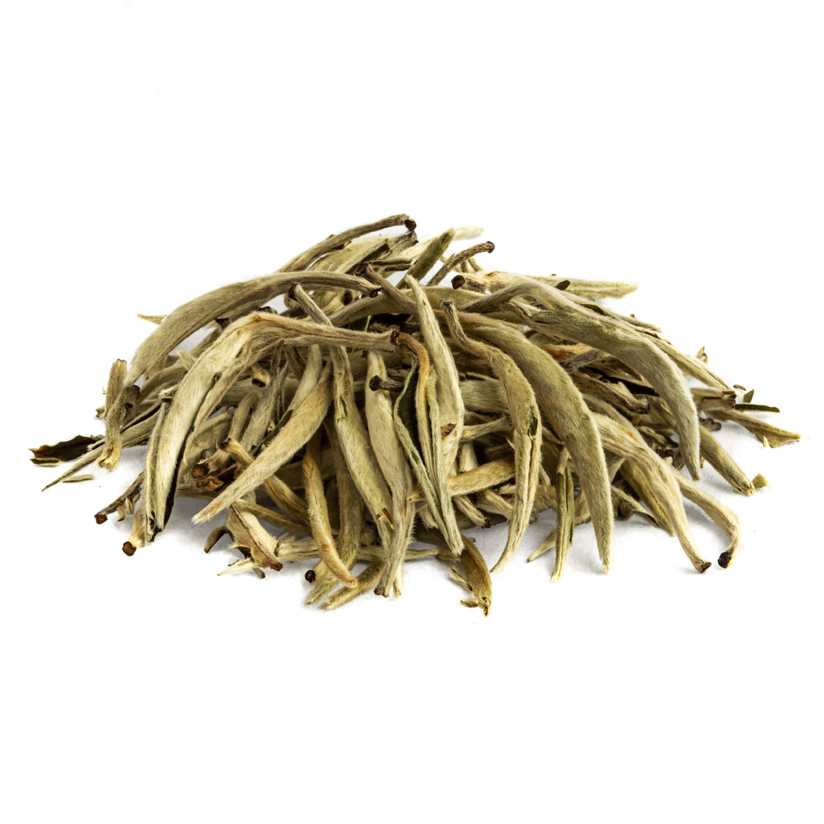 Bio Weißer Tee Yin Zhen Silverneedle – Made in Thé, Seitenansicht