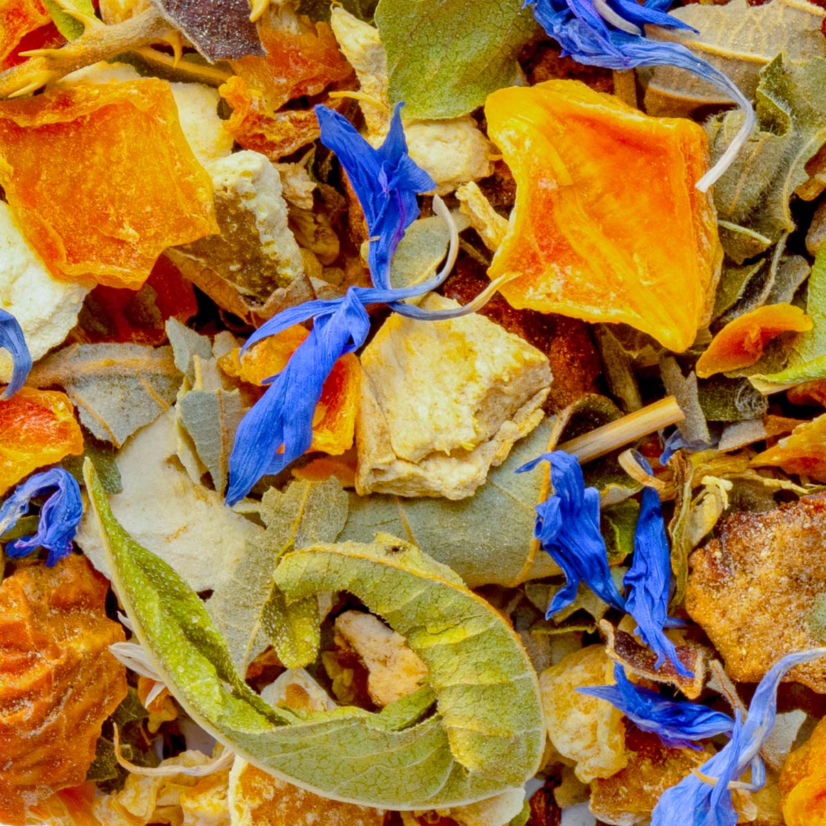 Kräutertee Jardin d’Hesperides Bio, Geschmack Orange – Made in Thé, Nahaufnahme