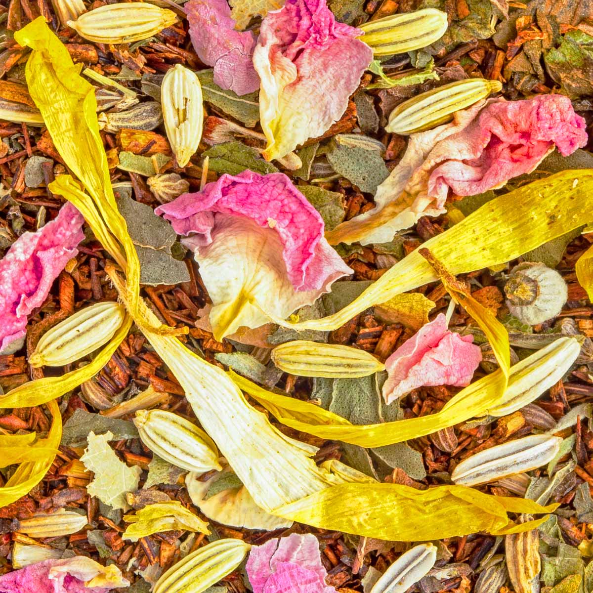 Bio Rooibos Vent de Fraîcheur, Geschmack Minze – Made in Thé, Nahaufnahme