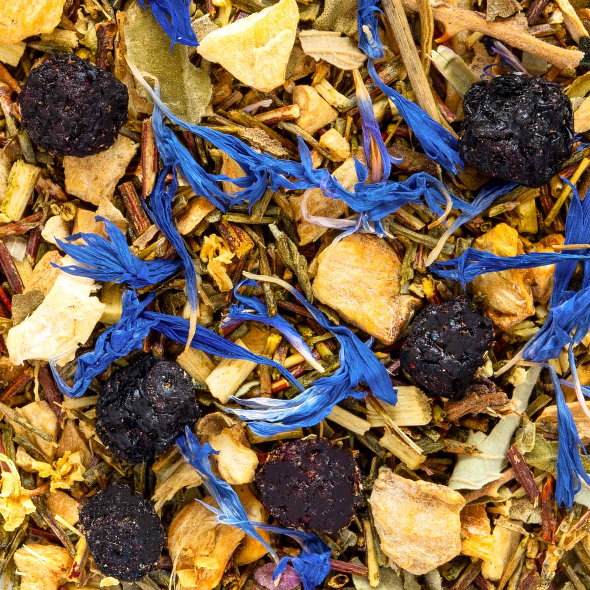 Bio Rooibos Gewürze und Beeren, Geschmack Heidelbeere und Ingwer – Made in Thé, Nahaufnahme