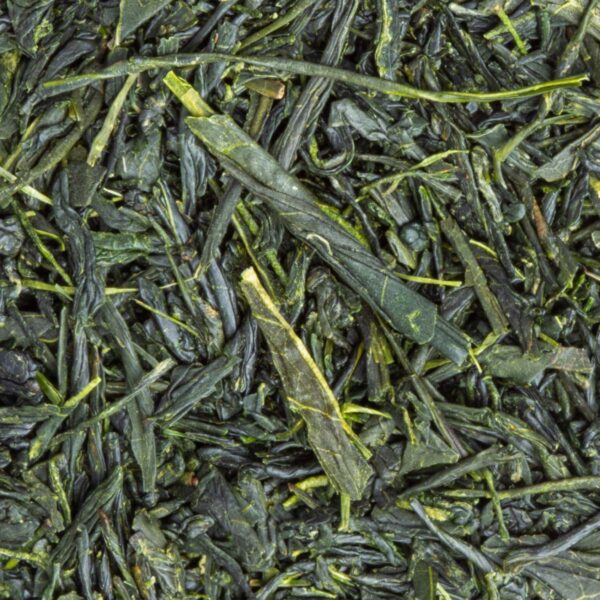 Thé Vert Japan Shincha Miyazaki Bio par Made in Thé - Vue zoomée