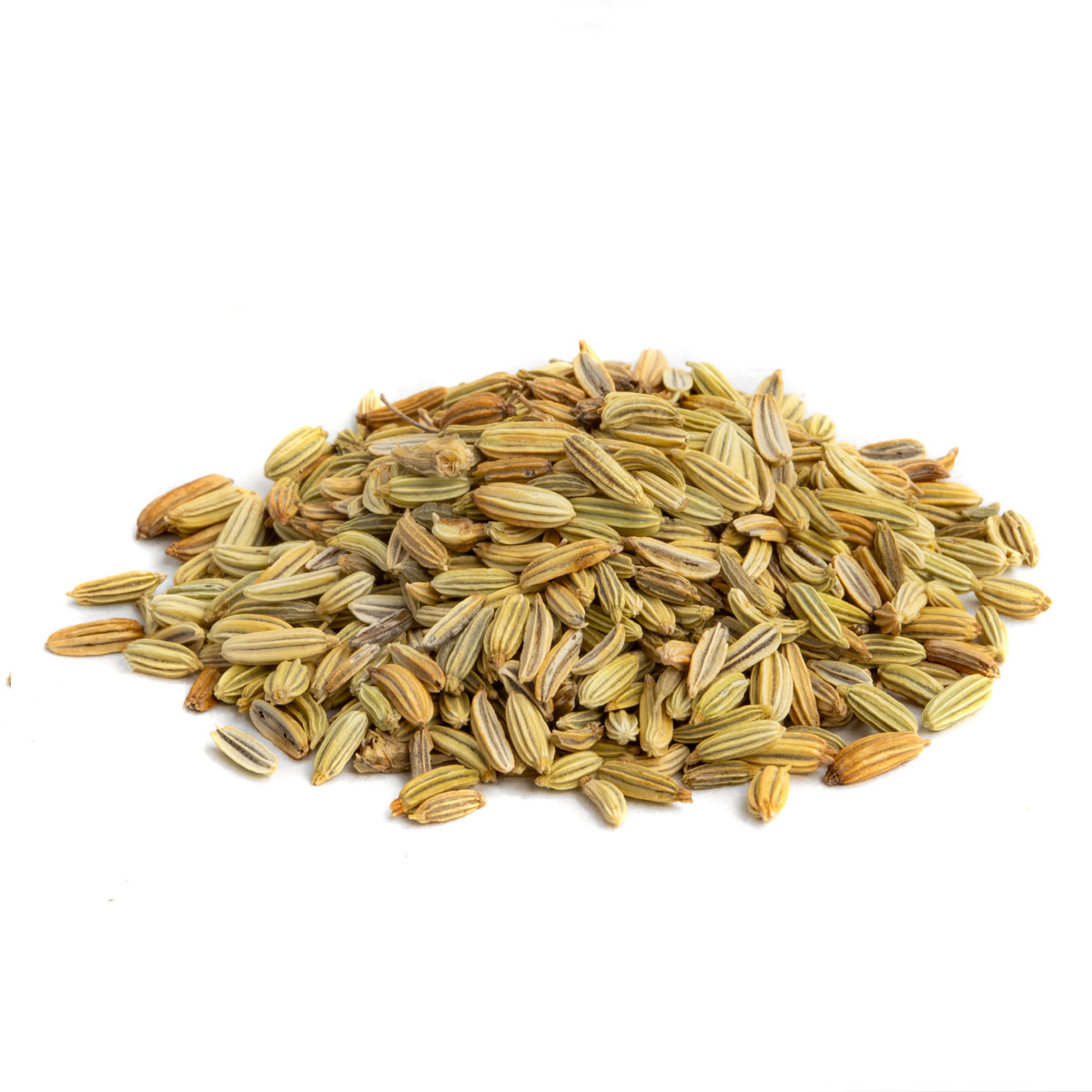 Bio Fenchel lose – Made in Thé, Seitenansicht
