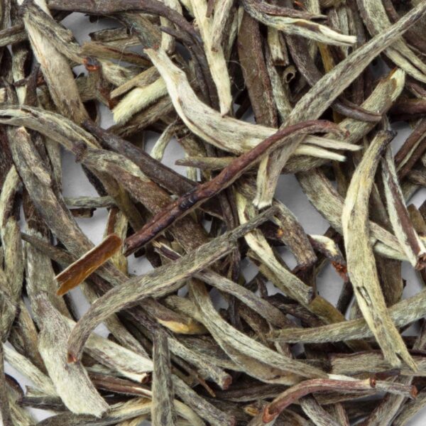 Thé Blanc Mozambique Silver Tips Bio en vrac par Made in Thé - Vue zoomée