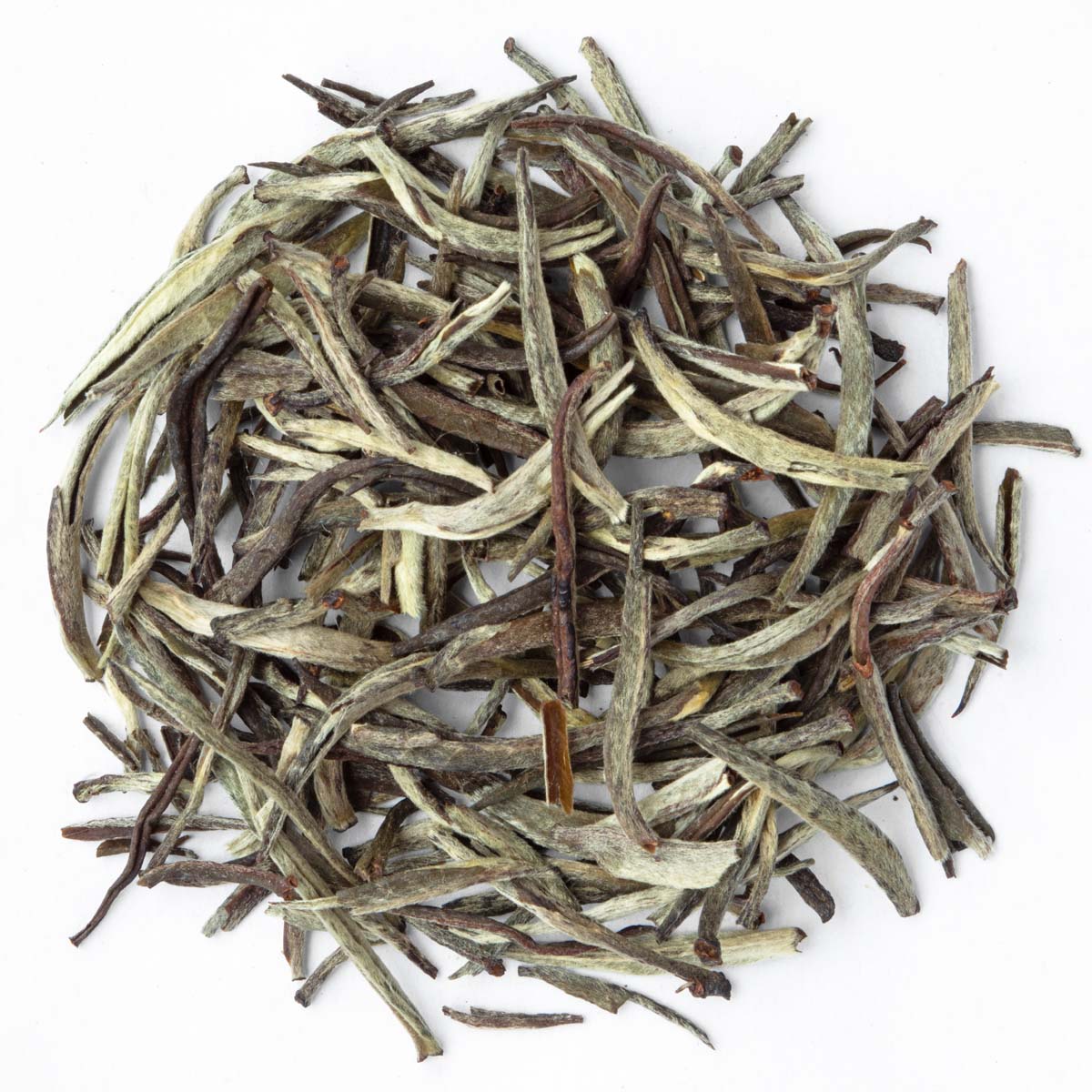 Bio Weißer Tee Mozambique Silver Tips – Made in Thé, Draufsicht